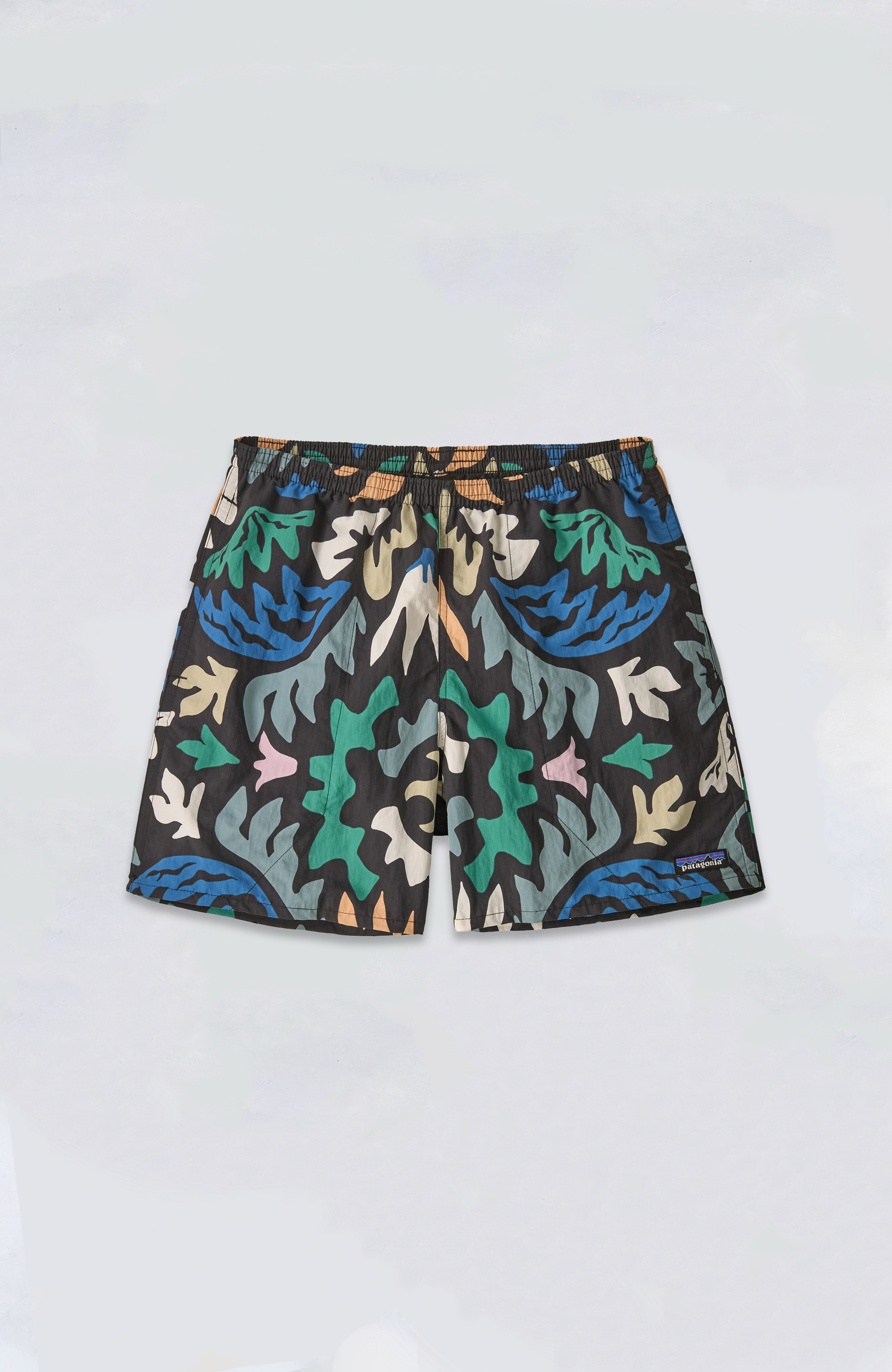 Patagonia3M_sBaggiesShorts-5in