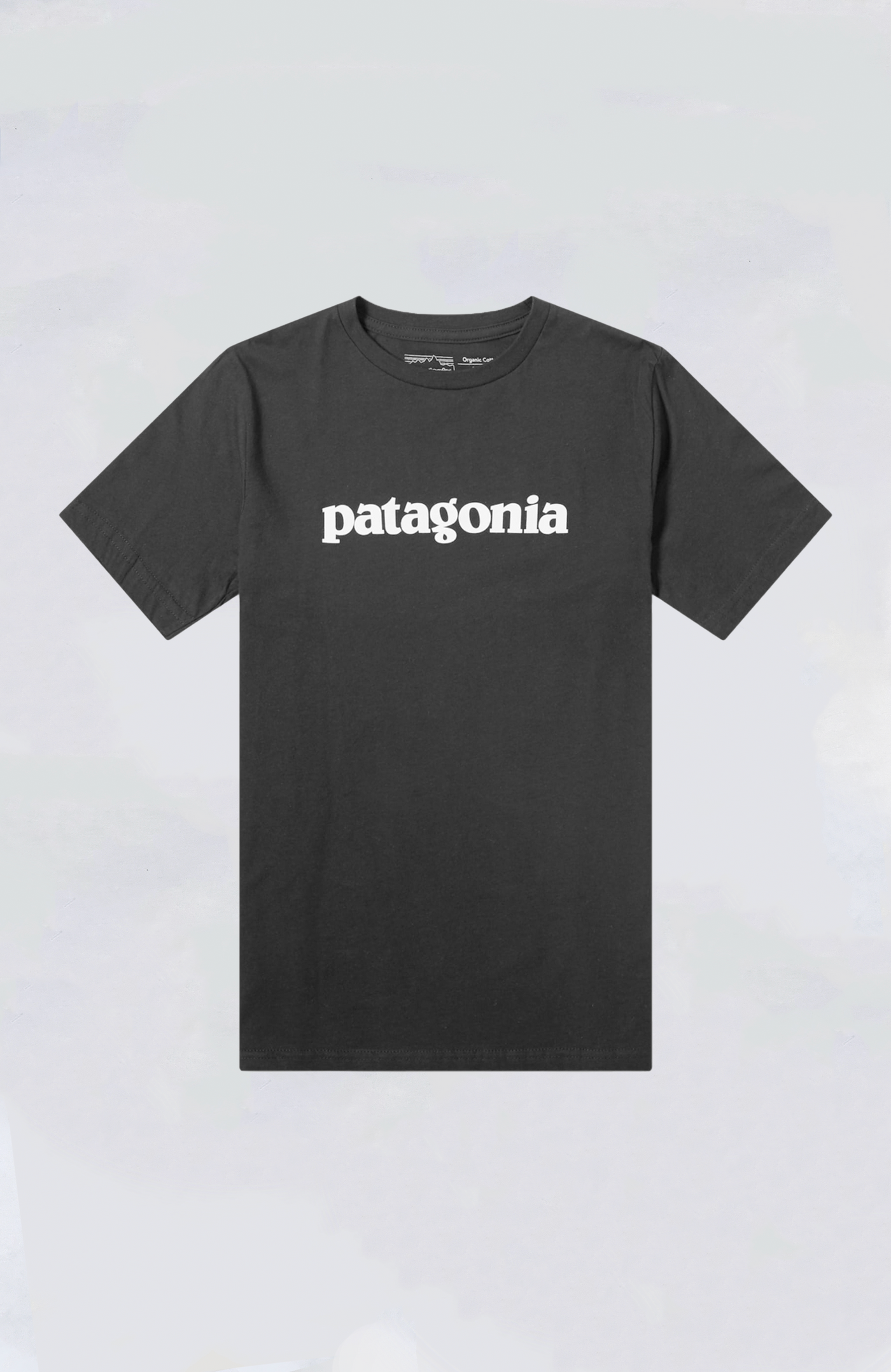 Patagonia - Text Logo Organic Tee