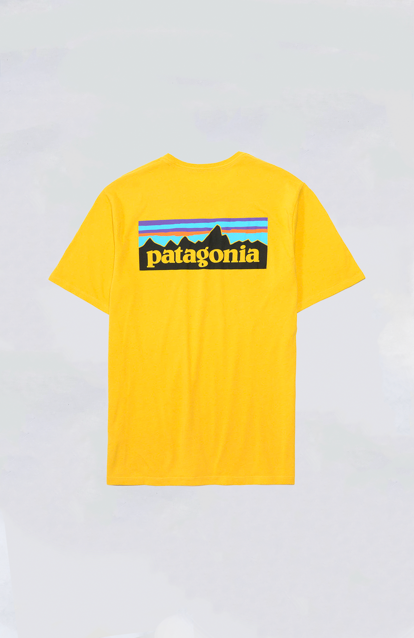 Patagonia - P-6 Logo Tee