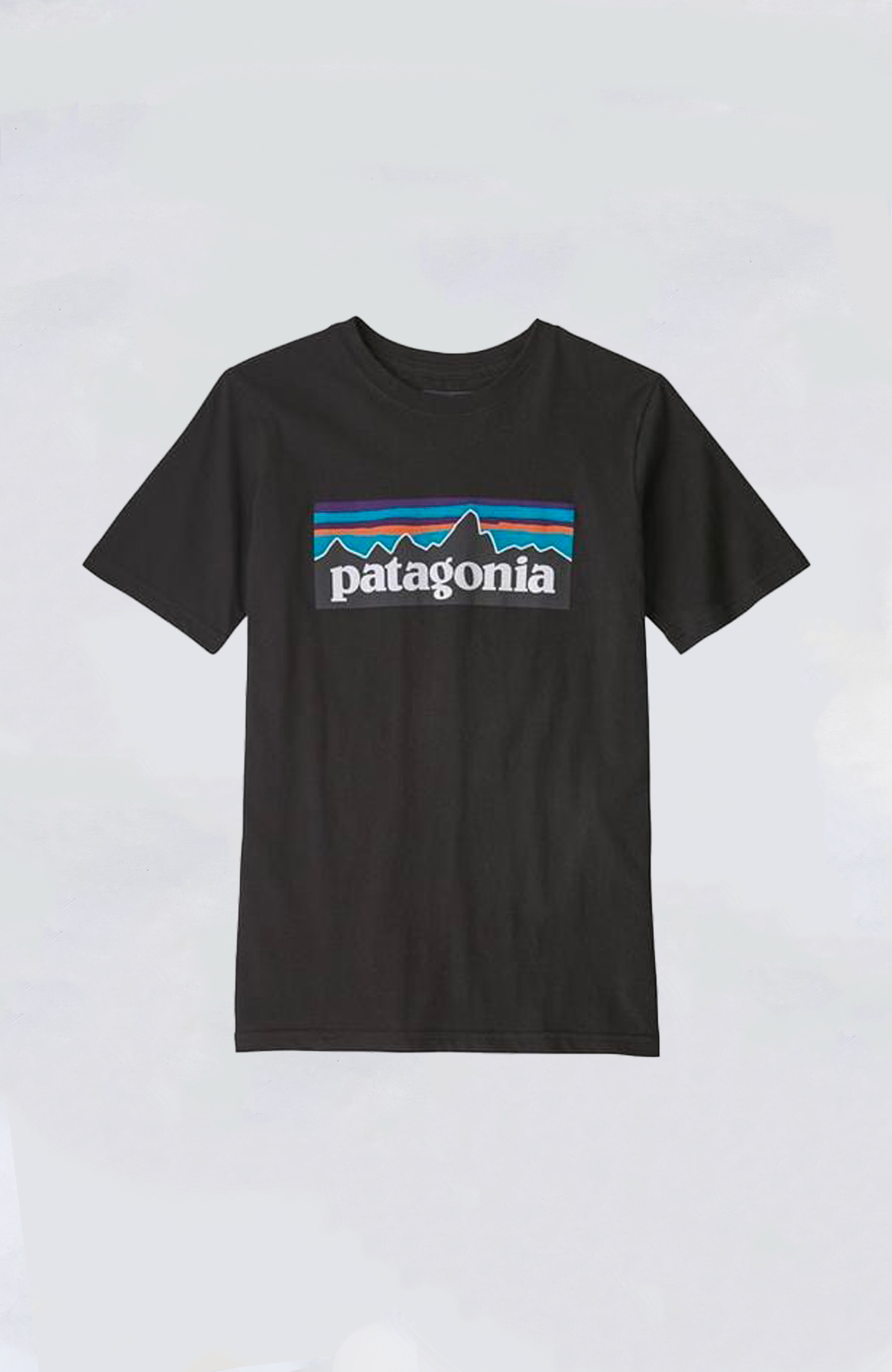 Patagonia black t shirt hotsell