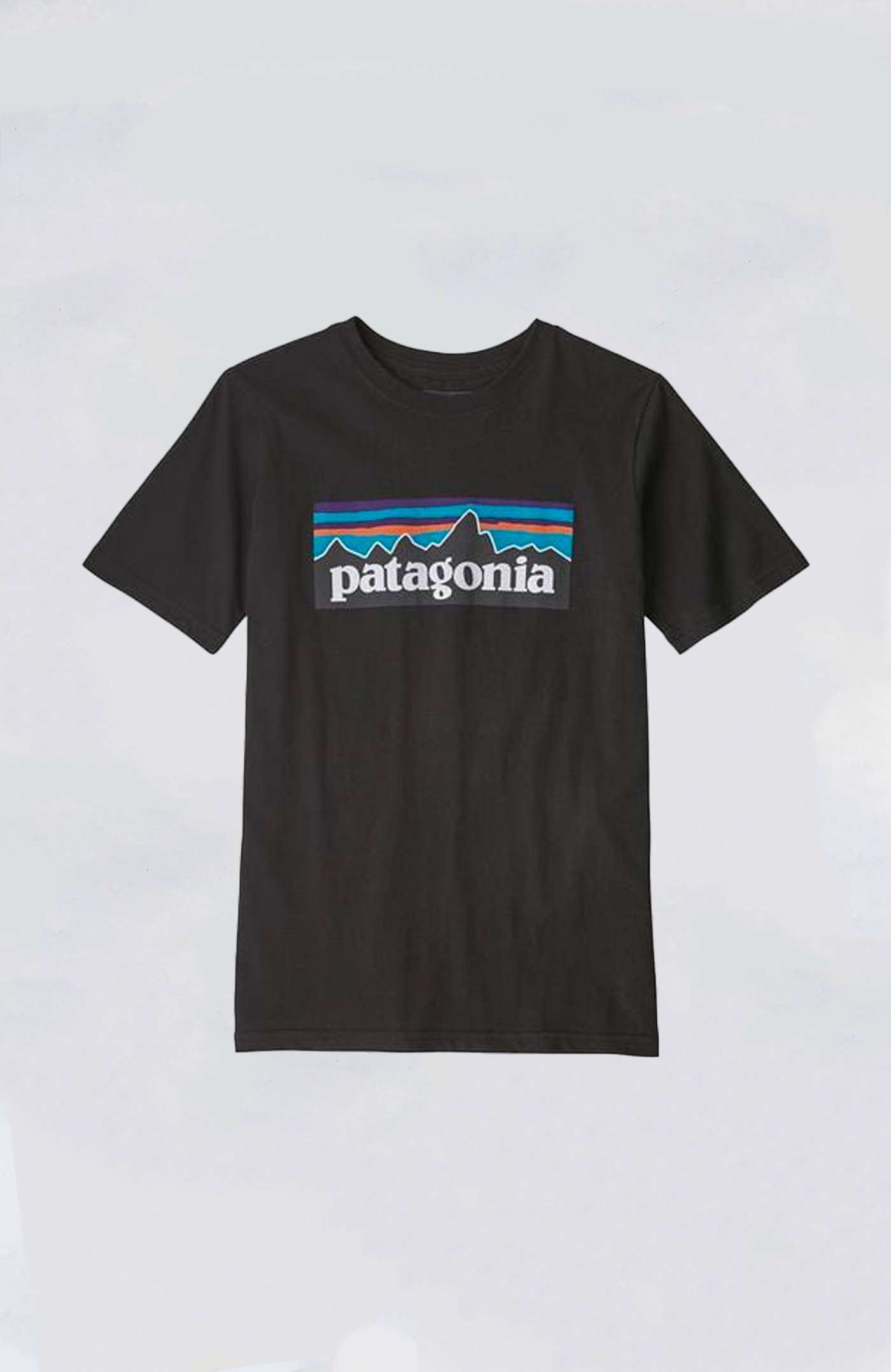 Patagonia - Kids' P-6 Logo Organic Tee