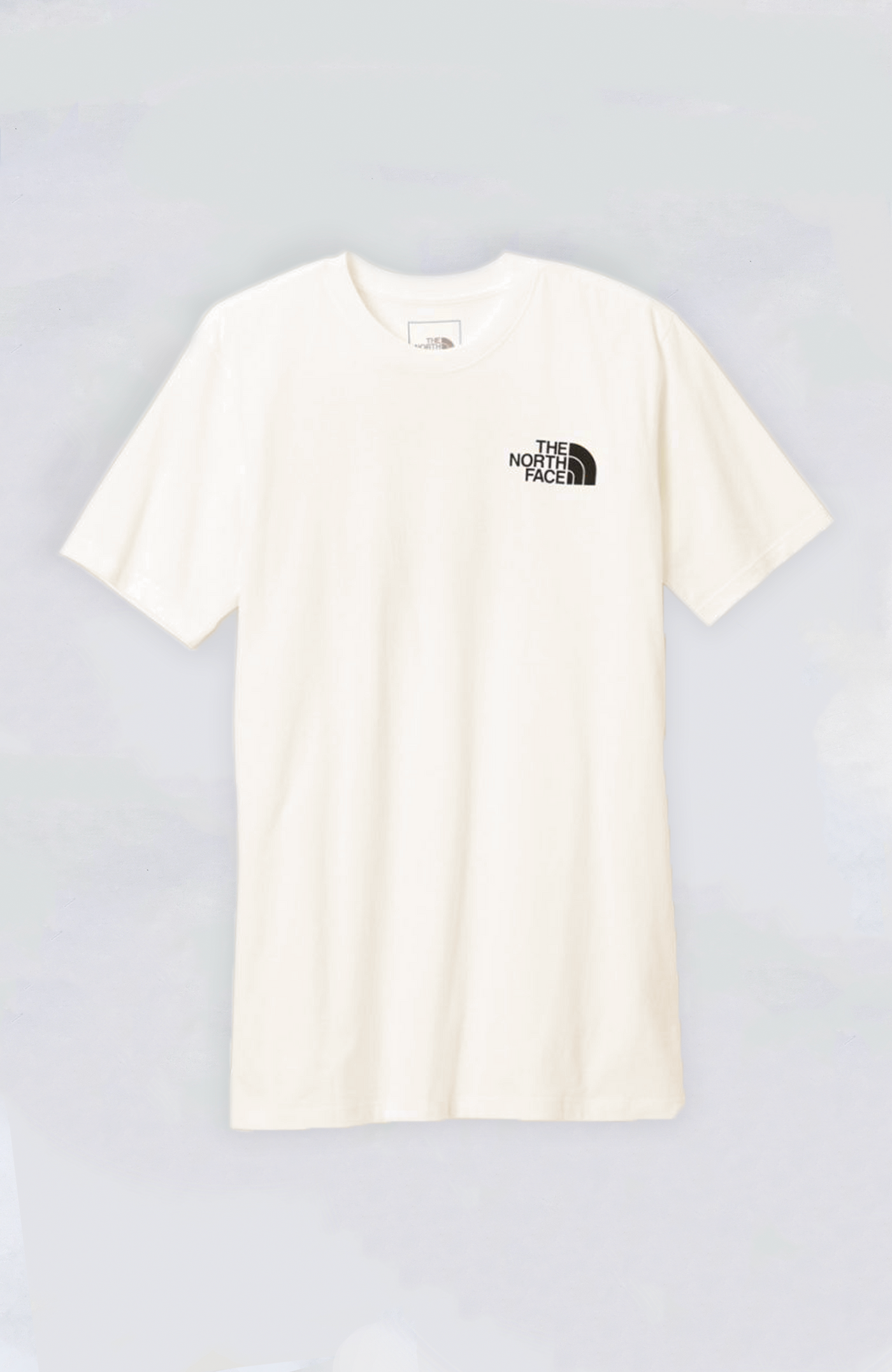 The North Face - Men's S/S Box NSE Tee