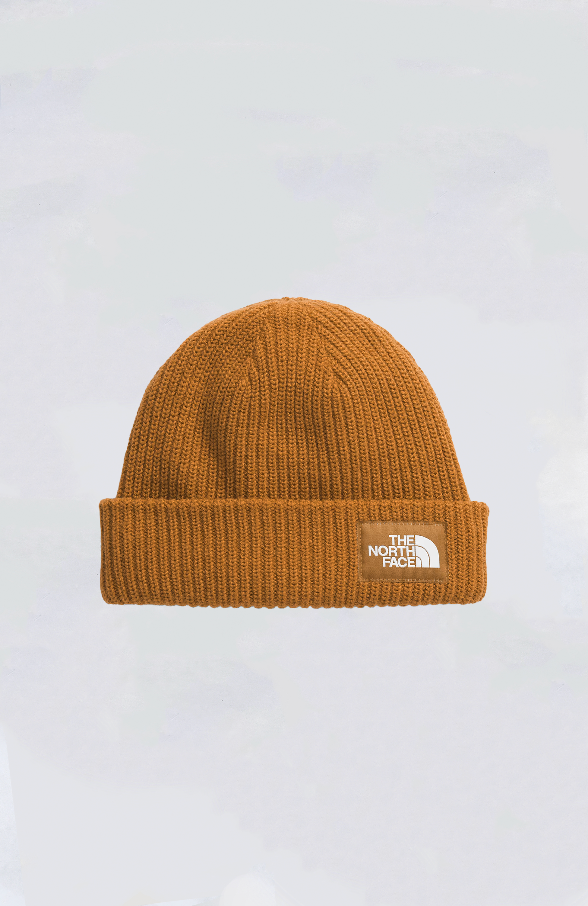 TNFTheNorthFaceSaltLinedBeanie