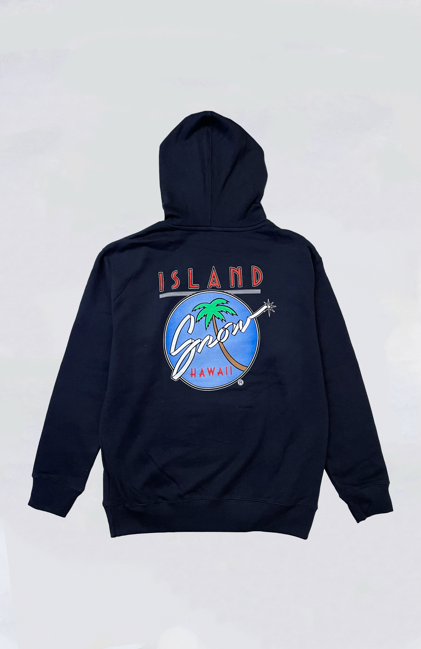 Island Snow Hawaii - IS Original Logo Hoodie