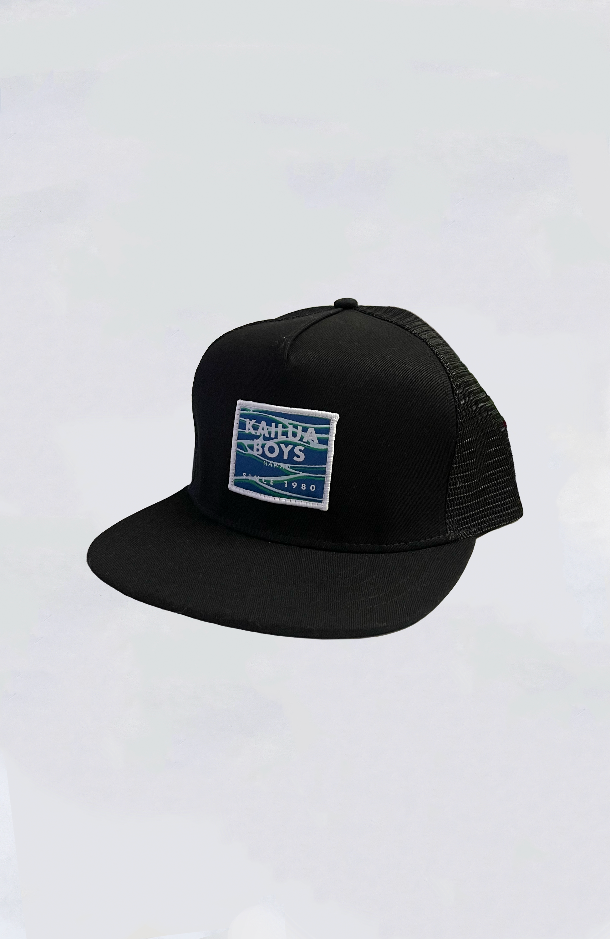 Patagonia Hat - P-6 Logo LoPro Trucker Hat – Island Snow Hawaii