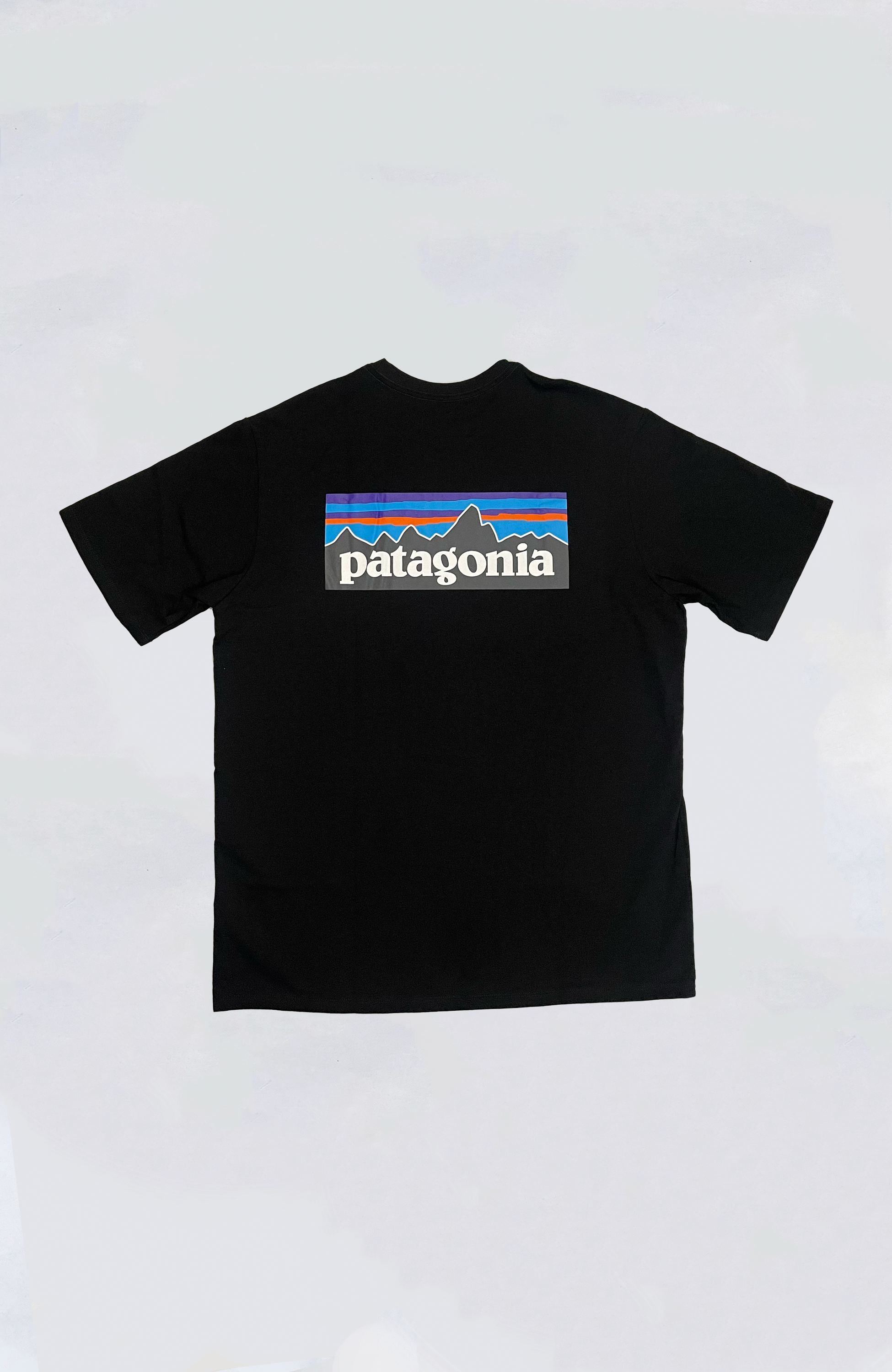 Patagonia t shirt p6 hot sale white
