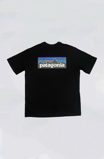 Patagonia - M's P-6 Logo Responsibili-Tee