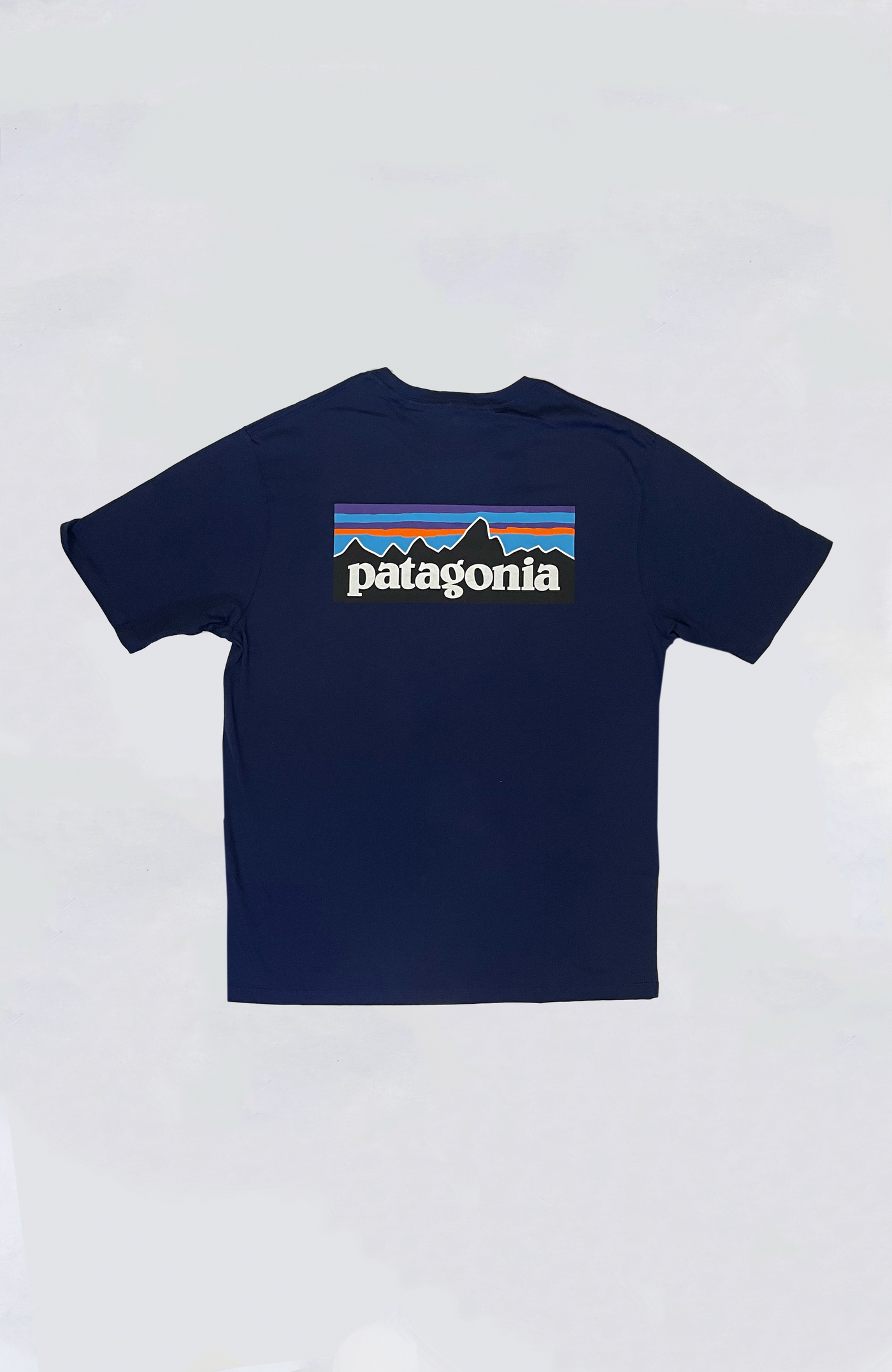 Patagonia - P-6 Logo Tee
