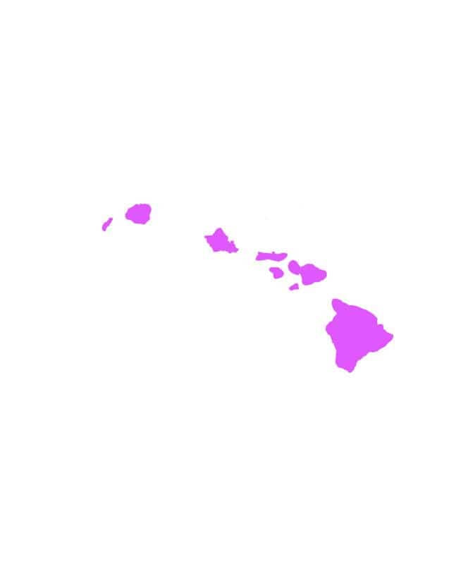 Island Snow Hawaii Stickers Pink / One Size Island Snow Hawaii Sticker - Island Chain 5 inch