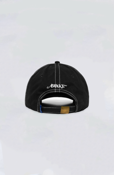 Awake NY - Awake NY Contrast Stitch 6 Panel Hat