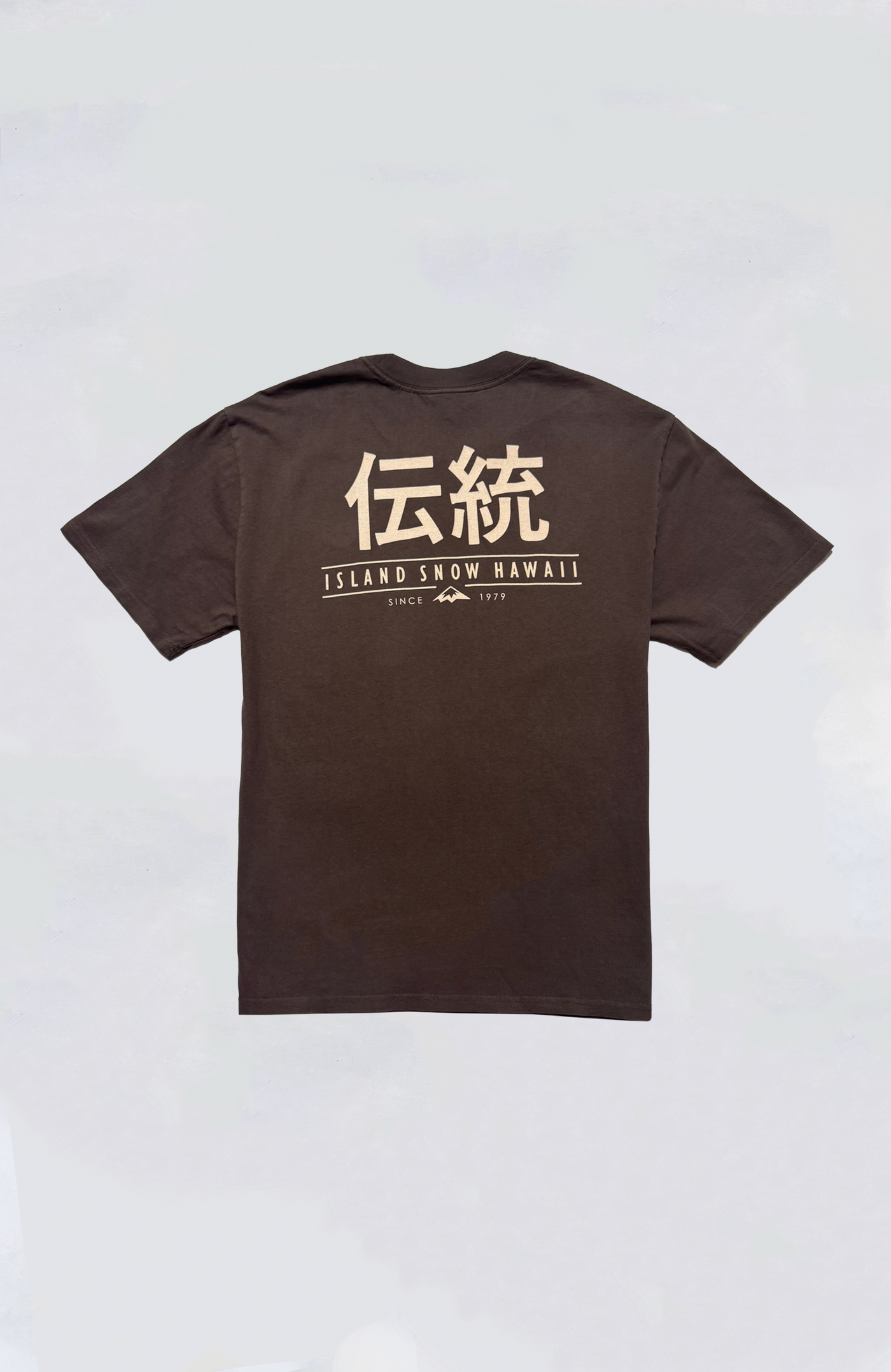 Island Snow Hawaii - IS Dento Washed Heavy Tee