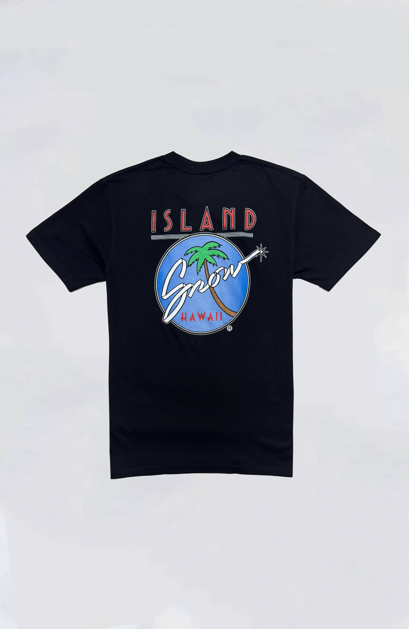 Island Snow Hawaii - IS Original Logo Premium Heavyweight Tee