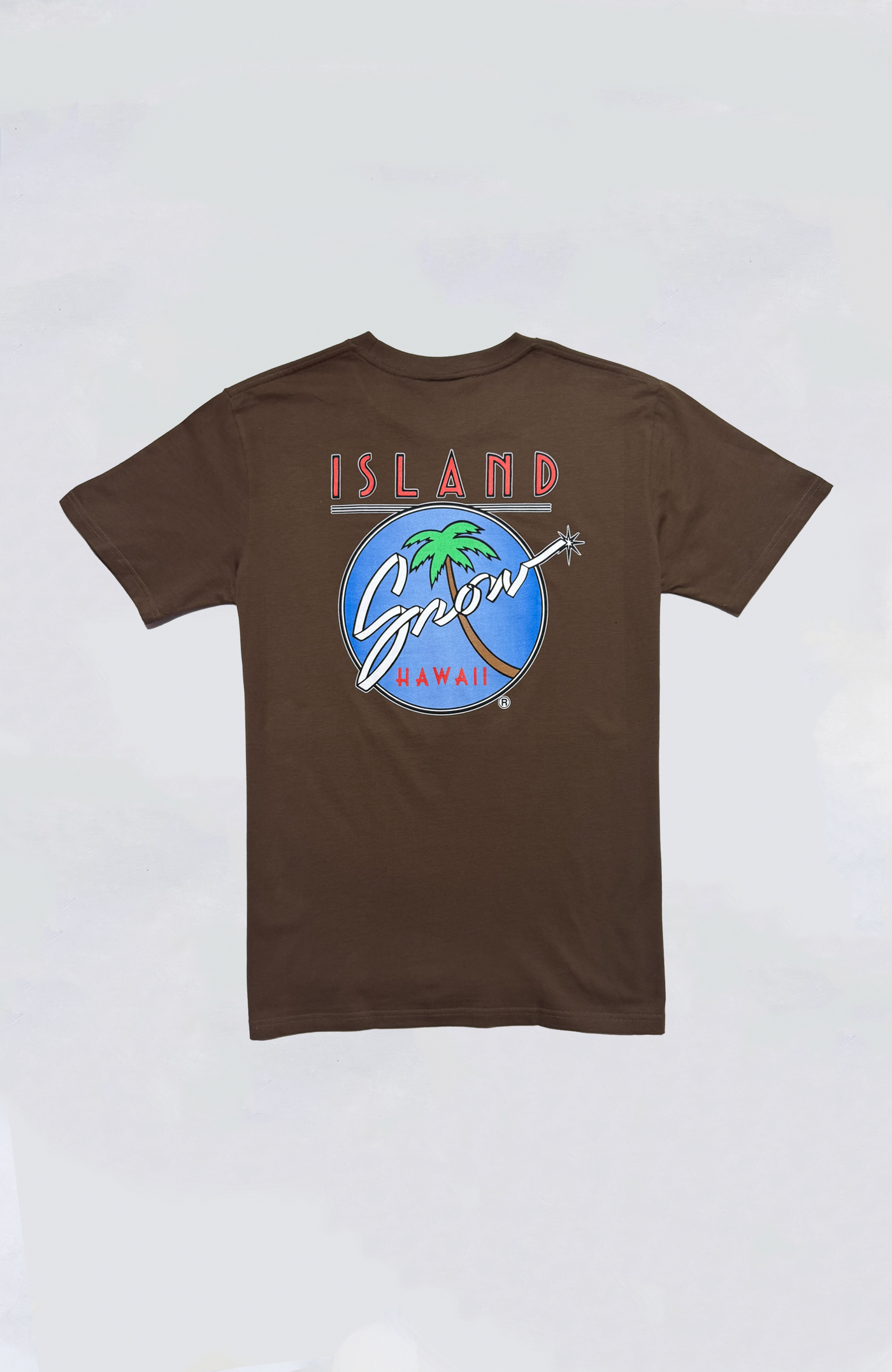 Island Snow Hawaii - IS Original Logo Premium Heavyweight Tee