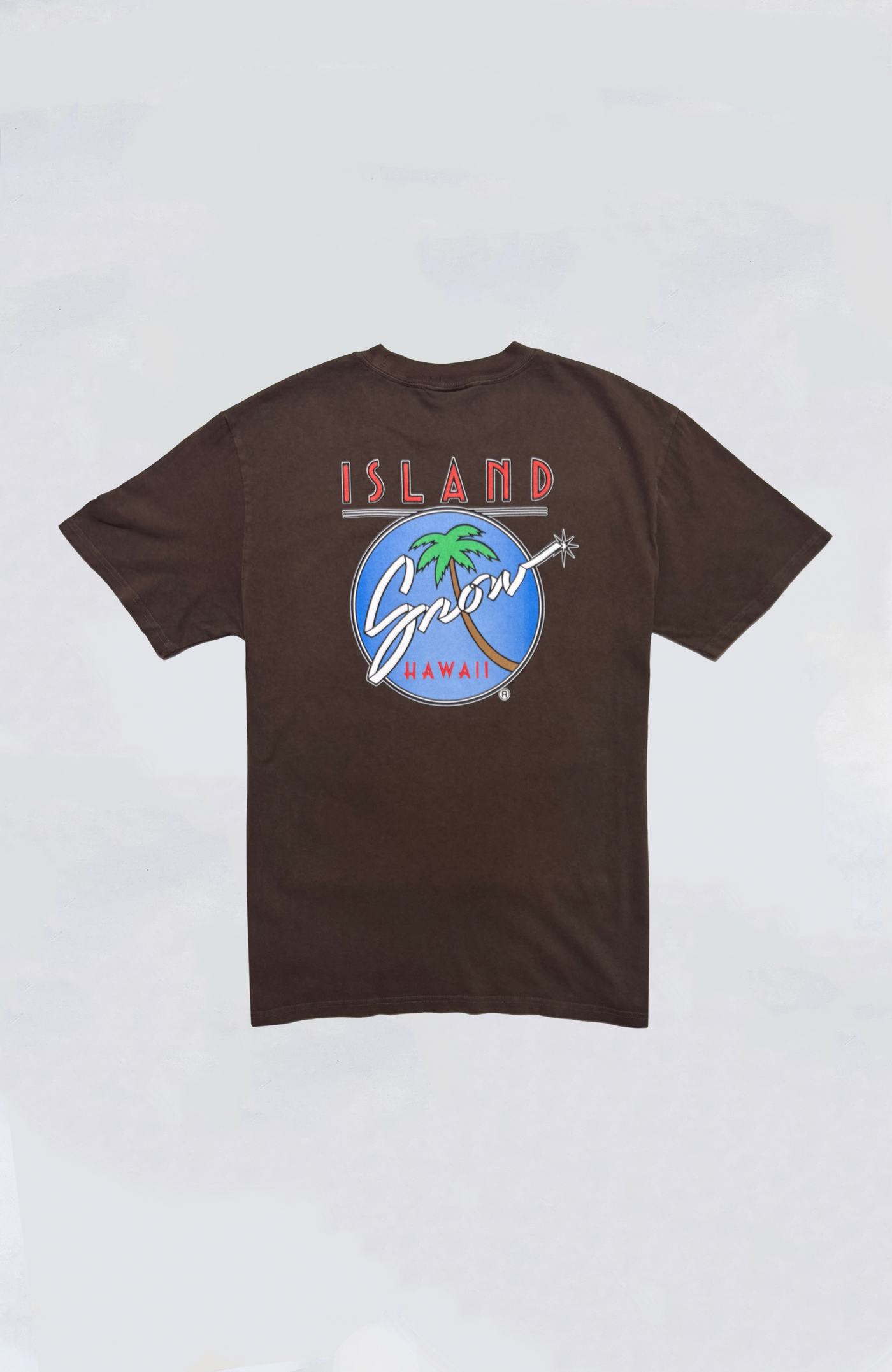 Island Snow Hawaii - IS Original Logo Washed Heavy Tee