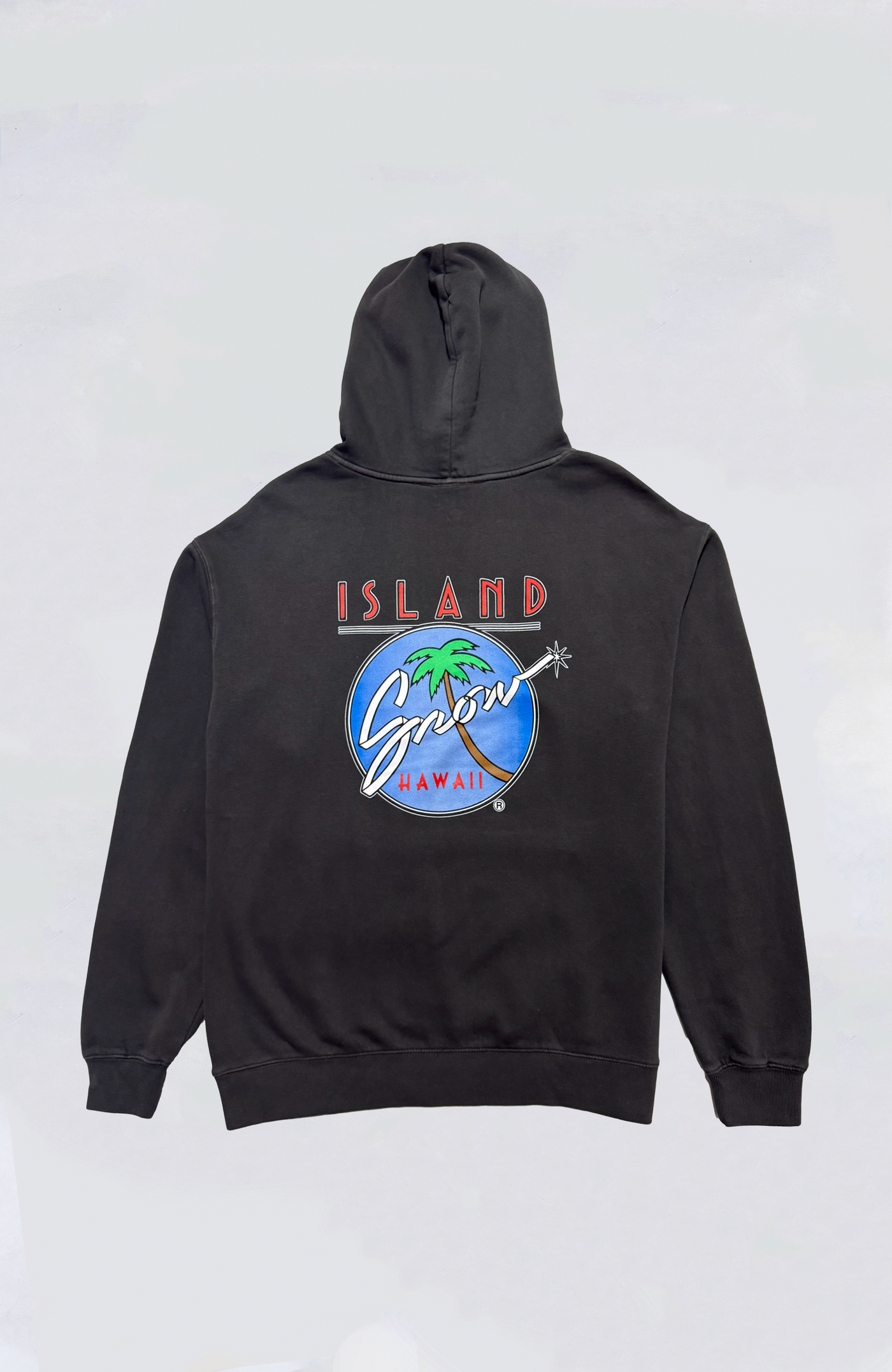 Island Snow Hawaii - IS Original Logo Washed Hoodie