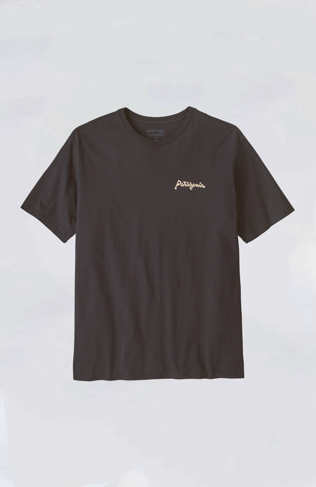 Patagonia2M_sAquaticActionOrga