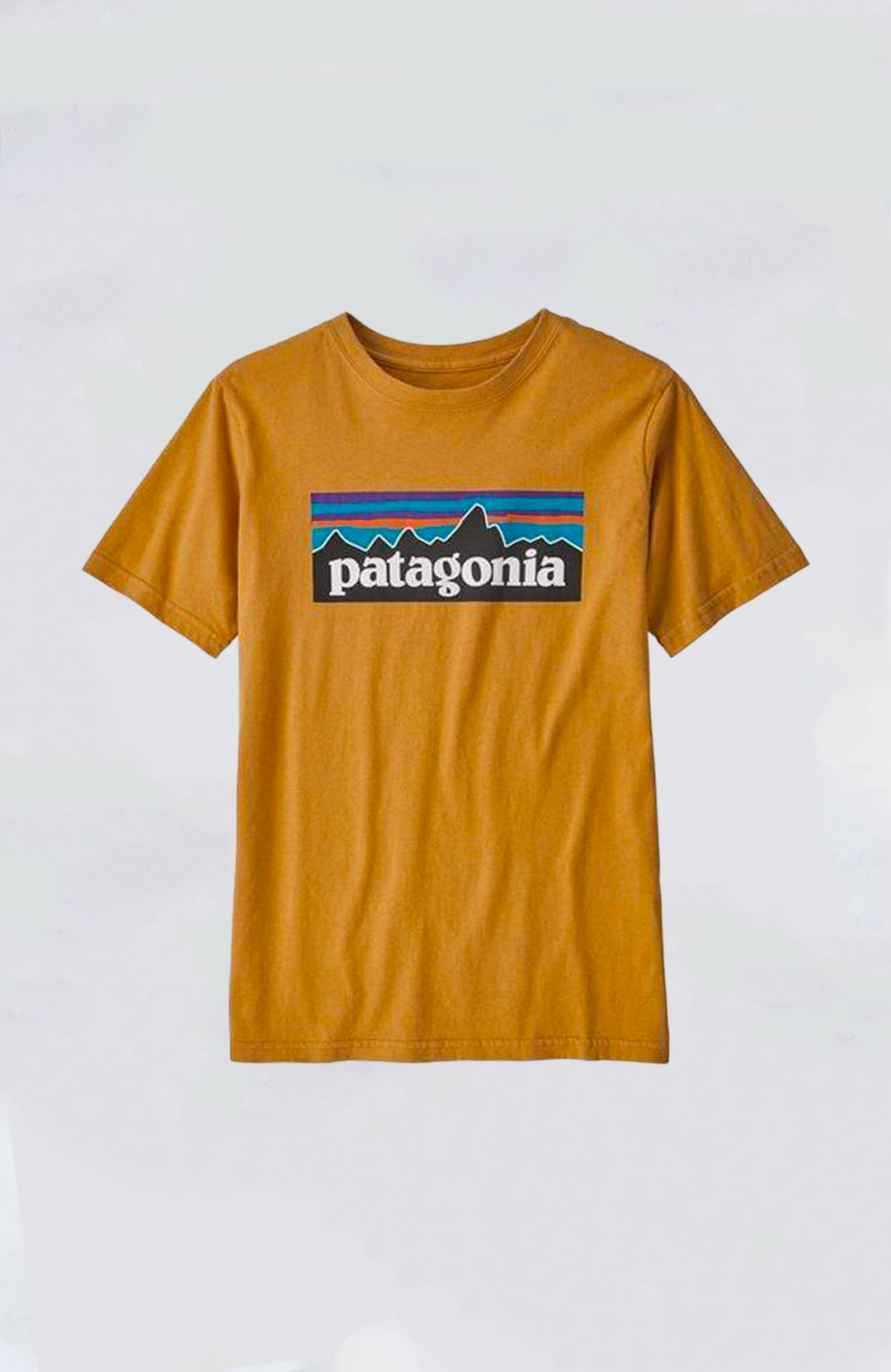 Patagonia - Kids' P-6 Logo Organic Tee – Island Snow Hawaii