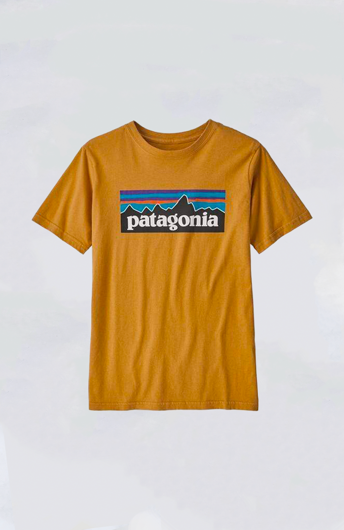 Patagonia Kids' Organic Tee - P-6 Logo