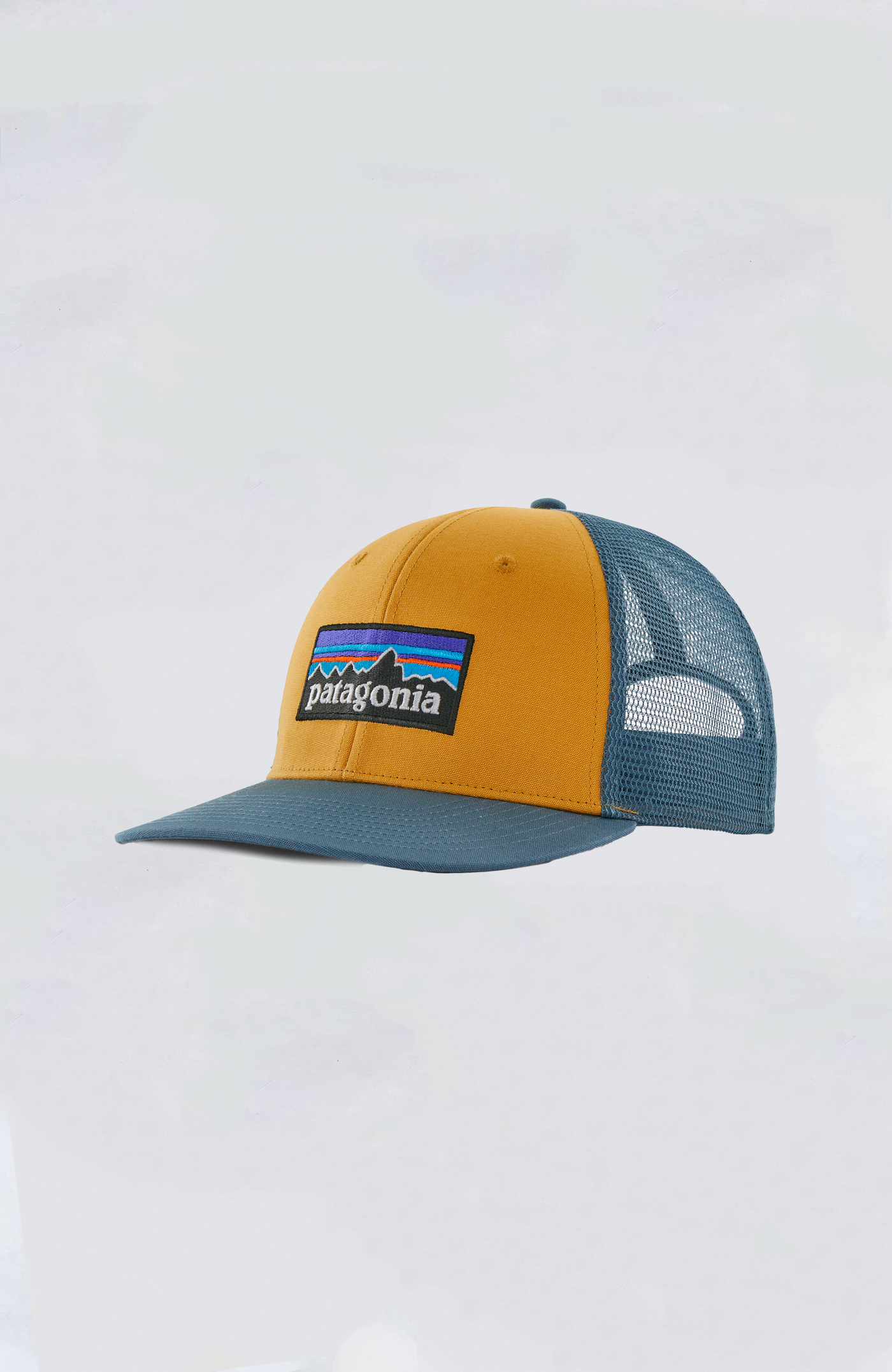 Patagonia Trucker Hat - P-6 Logo Trucker Hat