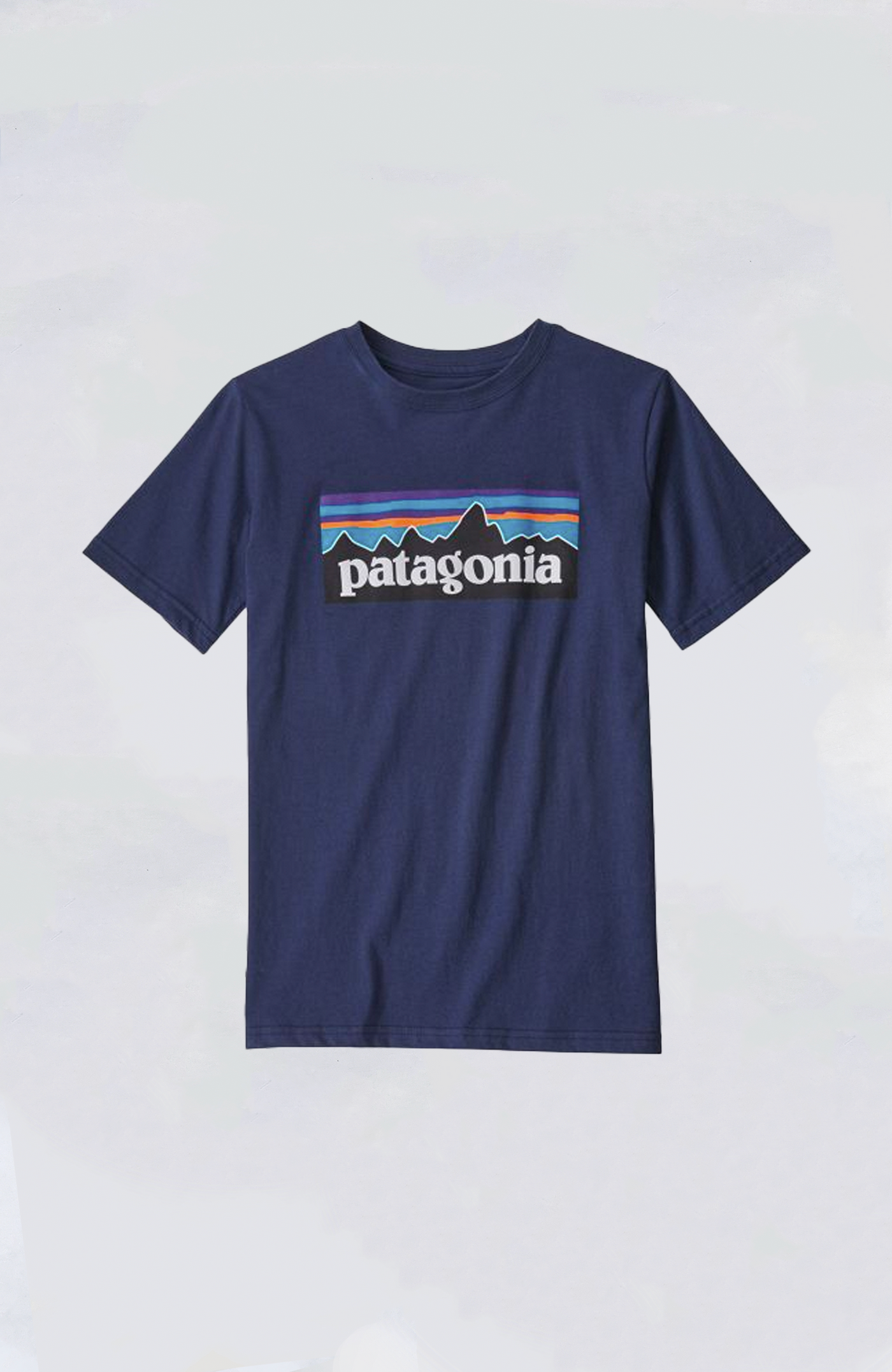 Patagonia boys best sale t shirt