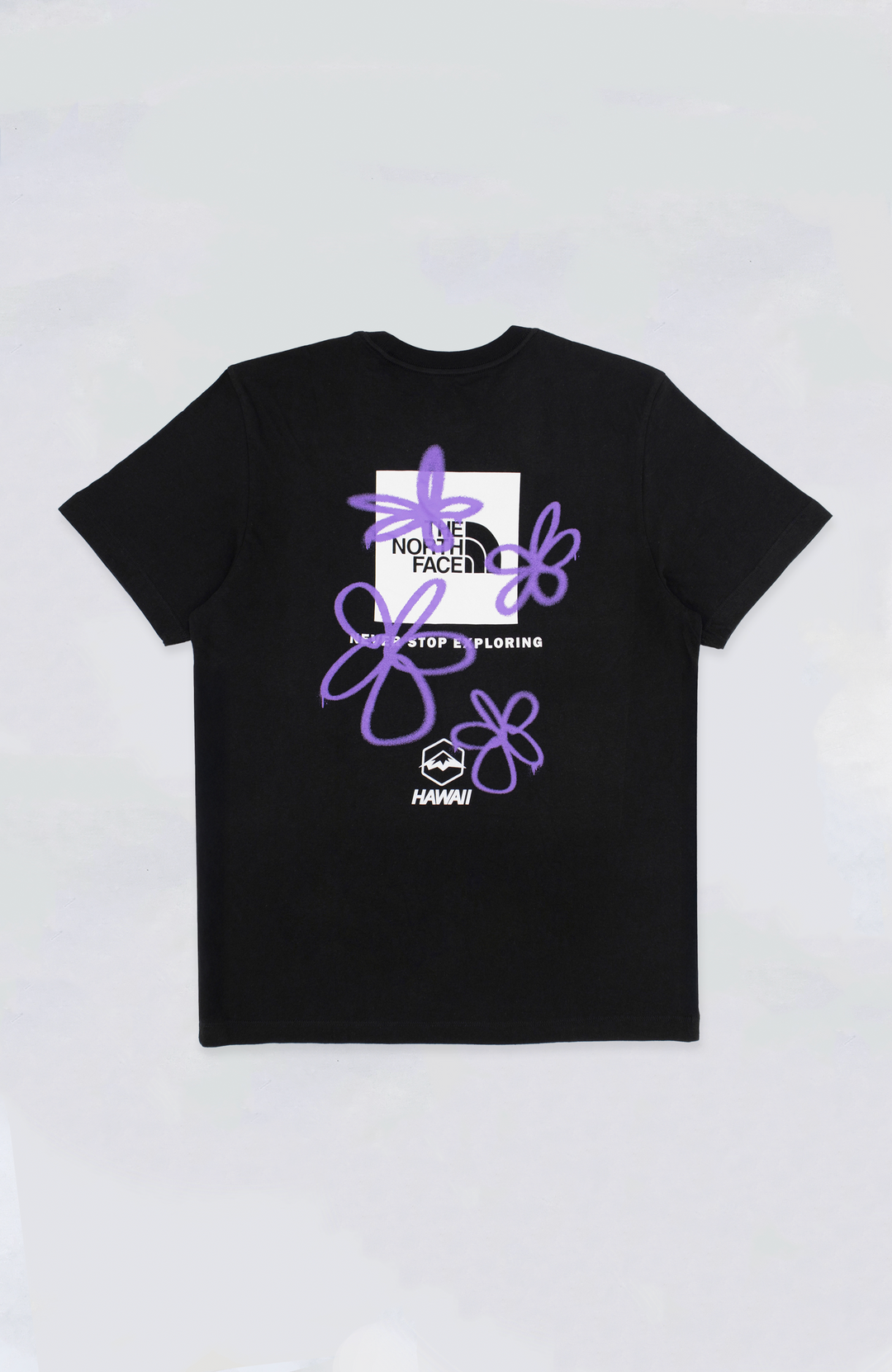 TNFTheNorthFaceHawaiianGraffit