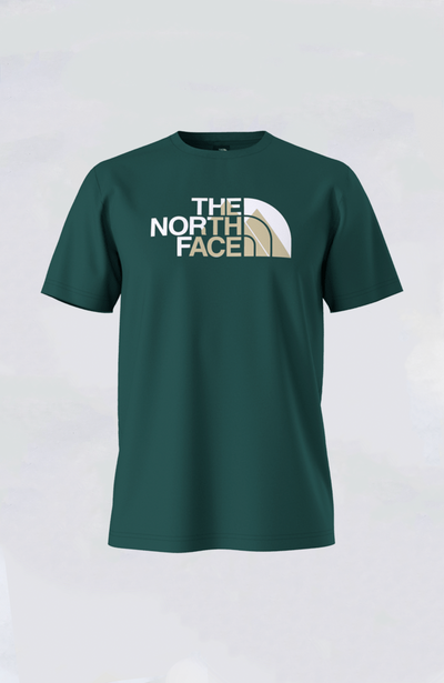 The North Face - Men's Biner Graphic 1 Tee