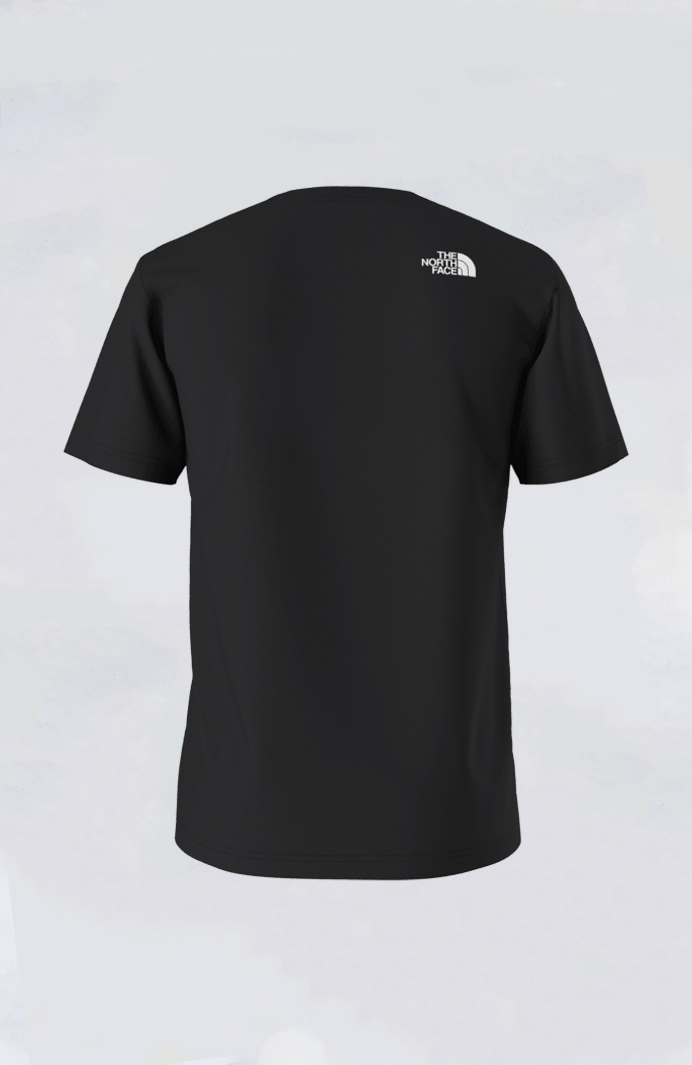 The North Face - Men's Biner Graphic 1 Tee