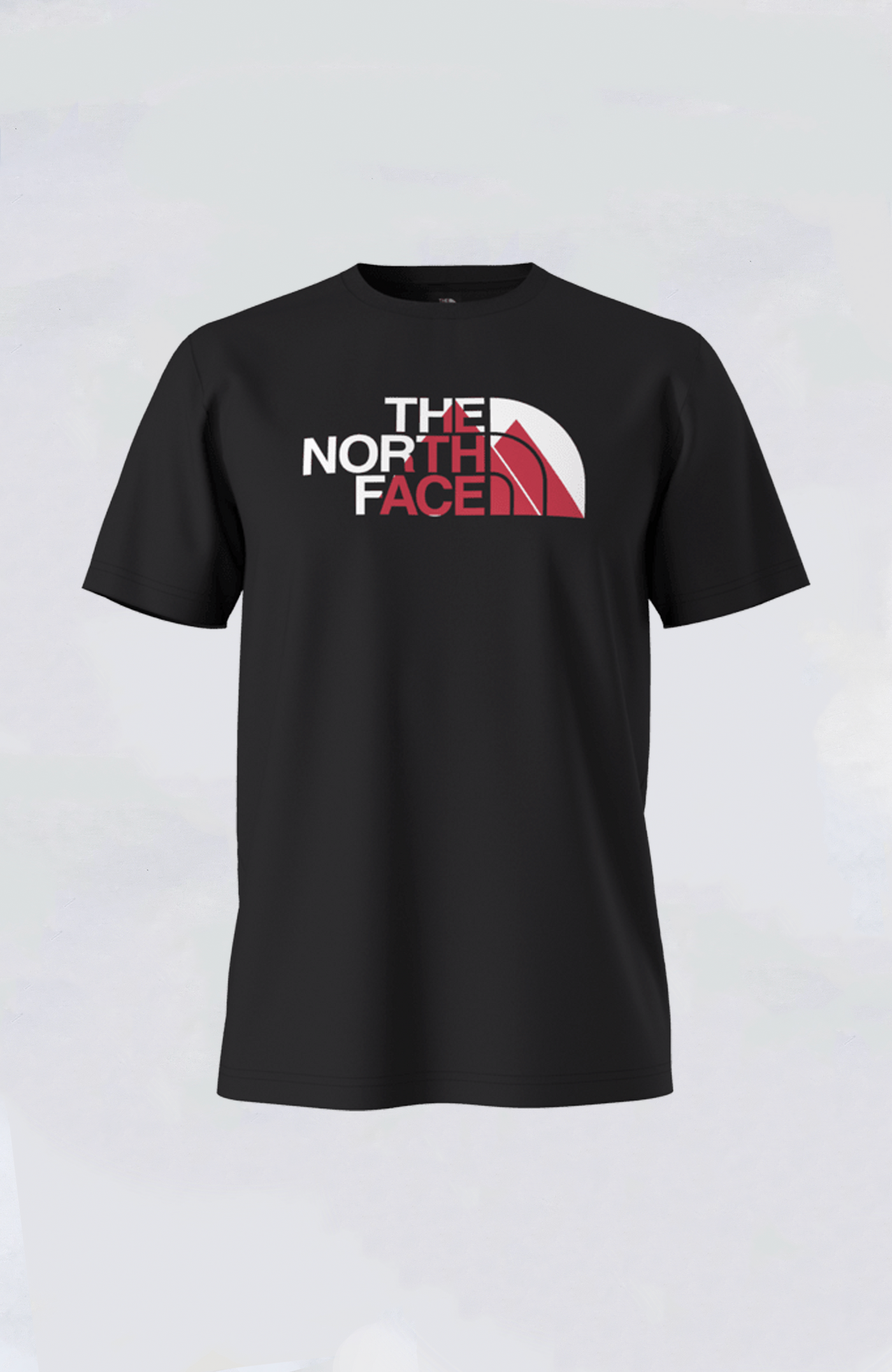 The North Face - Men's Biner Graphic 1 Tee