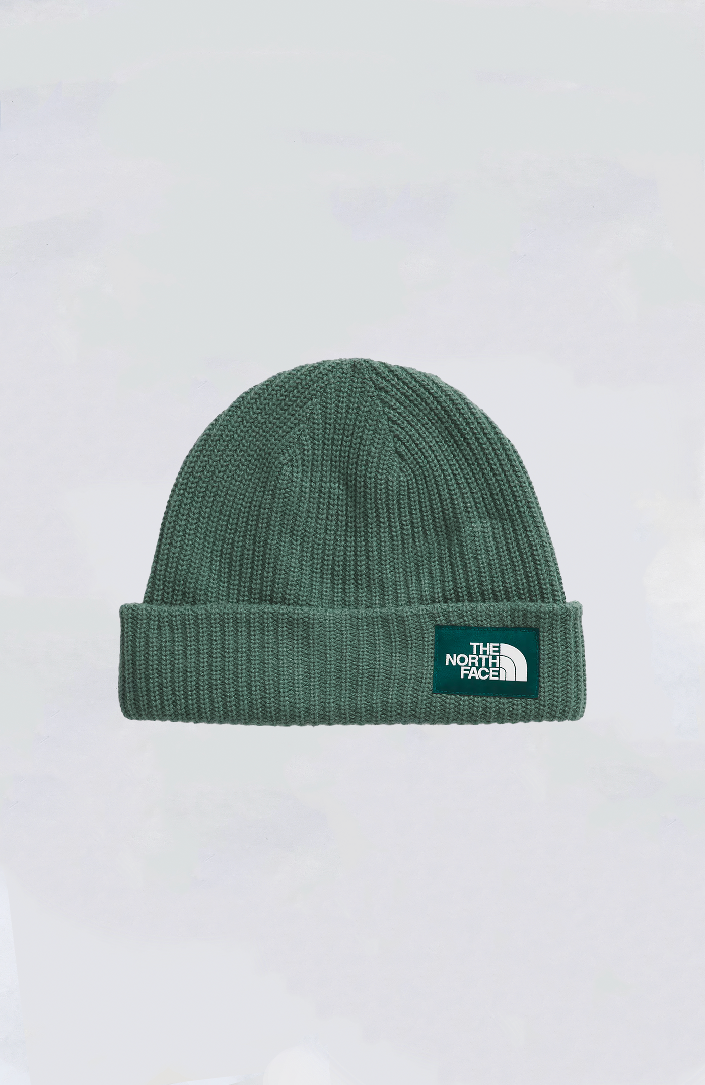 The North Face - Salt Lined Beanie