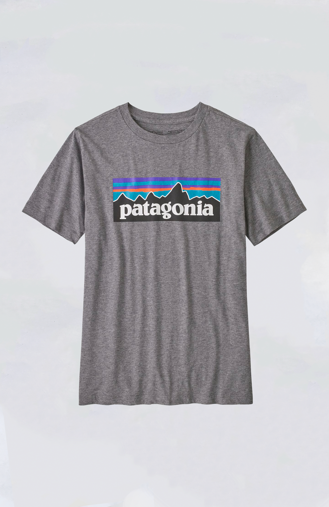 Patagonia Kid's Tee - Boys' Regenerative Organic Certification Cotton P-6 Logo T-S