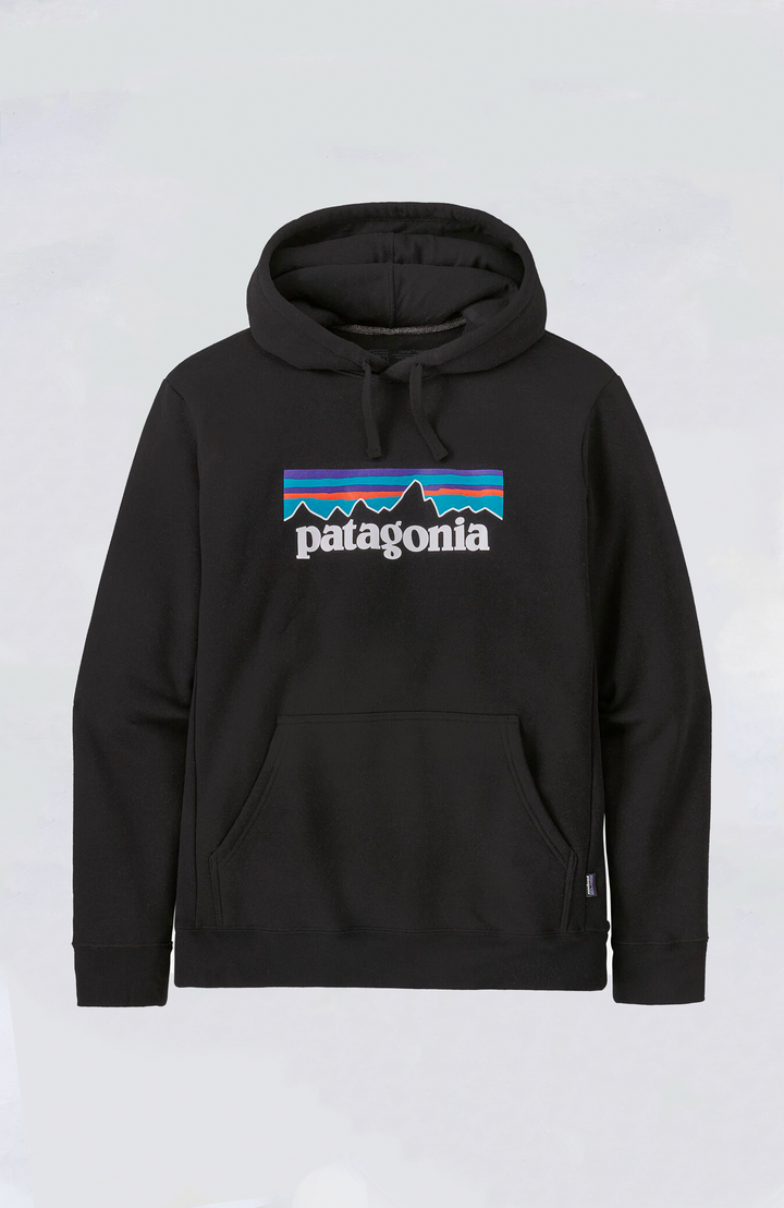 人気の贈り物が PatagoniaP- その他