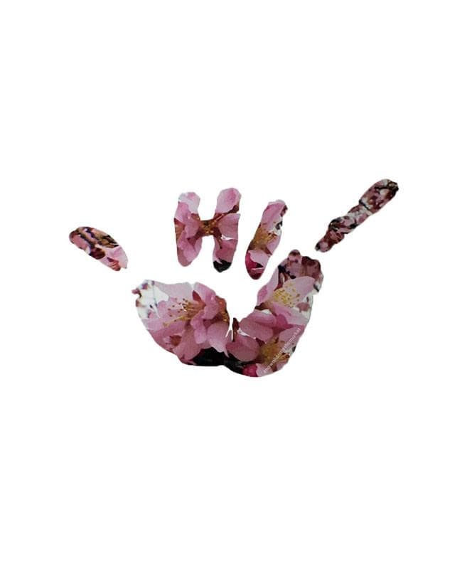 hawaii-domestic-market-stickers-pink-6-inch-hawaii-domestic-market-sticker-6-sakura-shaka-front